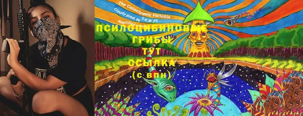 ALPHA-PVP Вяземский