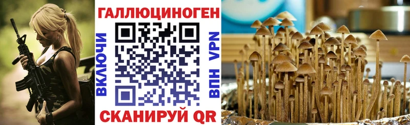 наркотики  Георгиевск  Псилоцибиновые грибы прущие грибы 