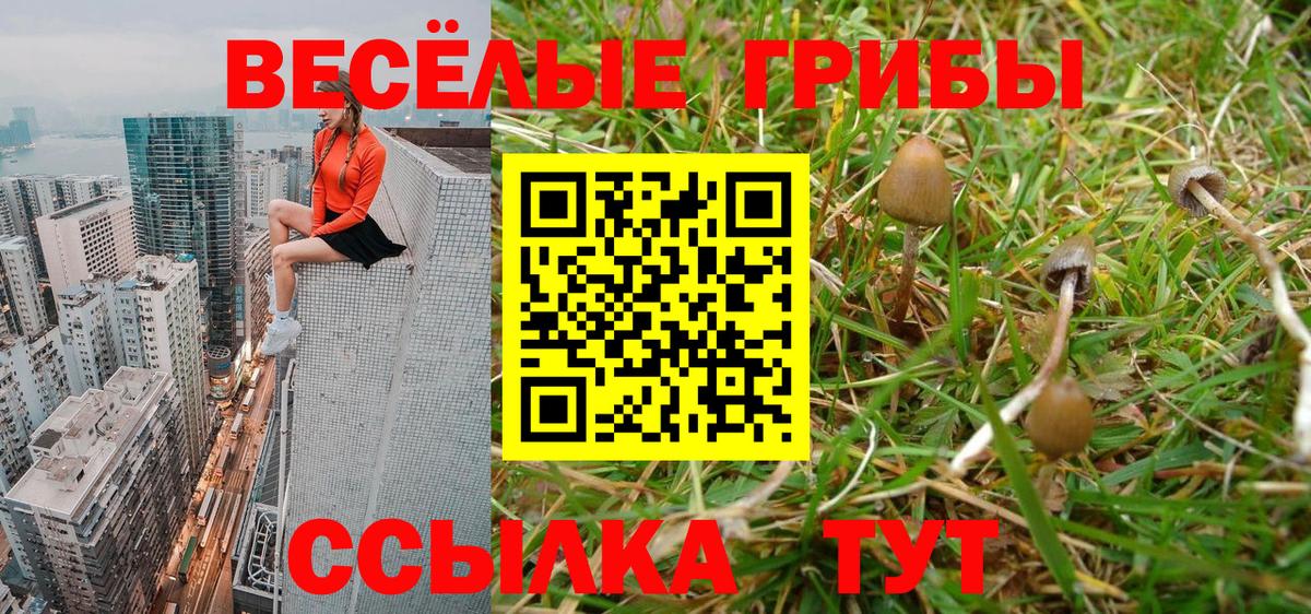 Георгиевск  Псилоцибиновые грибы мицелий  Вход с VPN  Галлюциногенные грибы мухоморы 