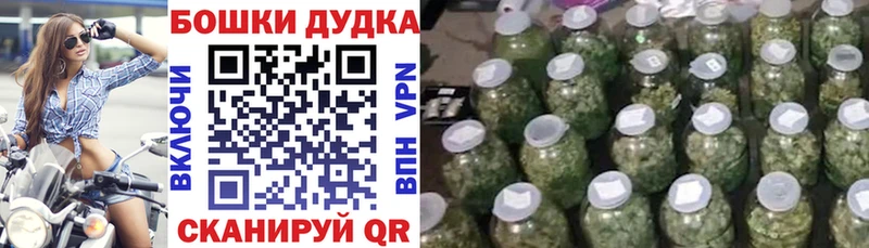 купить наркоту  Георгиевск  Бошки Шишки индика 